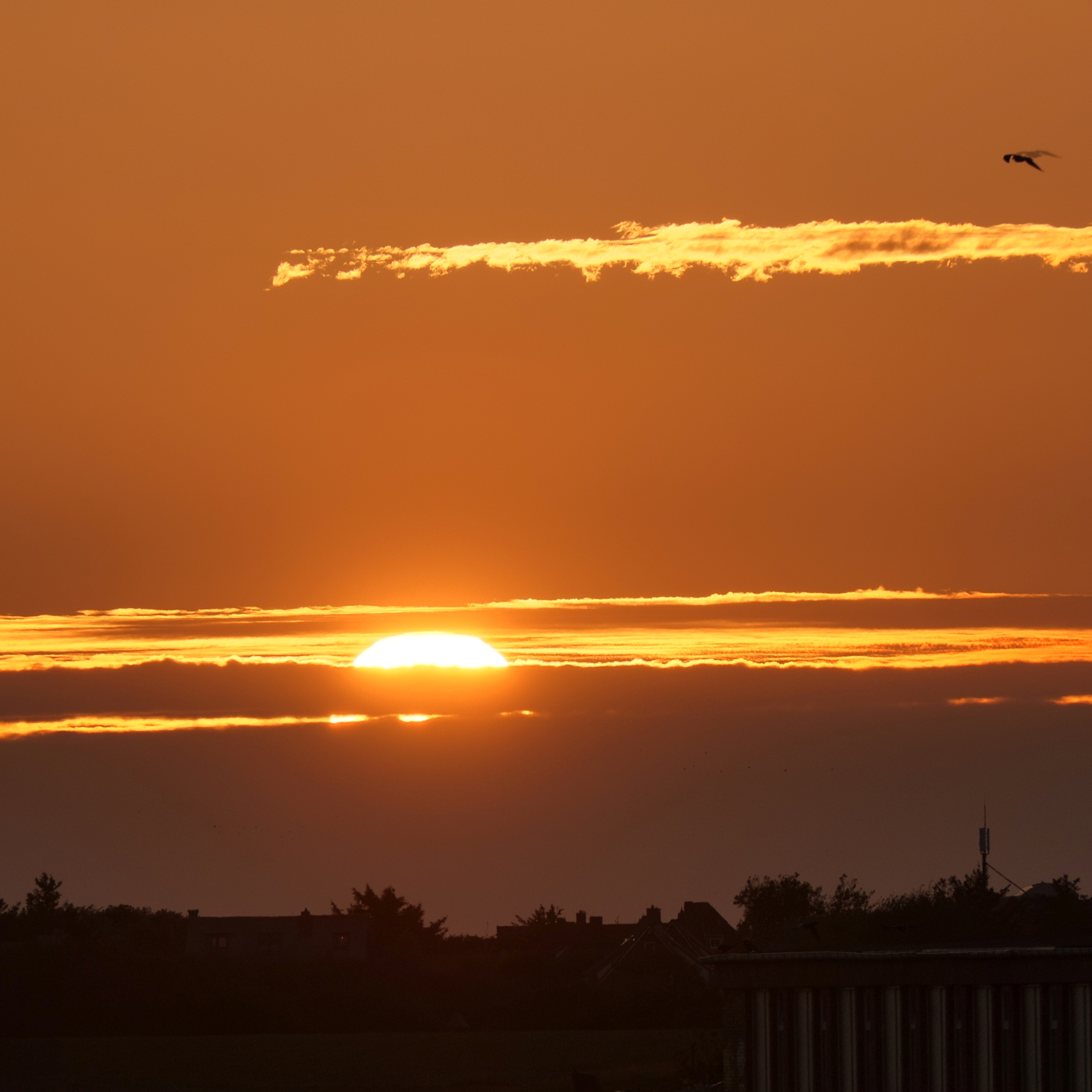 Sonnenuntergang über Juist